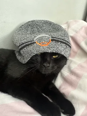 Fan wearing the beanie on the Wall of Gurusalem