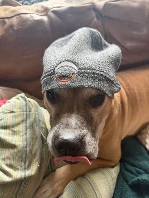 Fan wearing the beanie on the Wall of Gurusalem